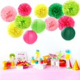 thumbnail image 4 of Kit de decoración para fiestas Hugfond, 15 unidades, pompones de papel, 4 of 7