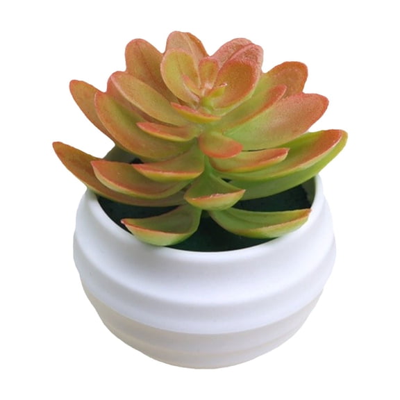 Eoozwa Plastic Simulated Succulent Potted Plant 3X3 Inch for Home Office Desk Decor Indoor Outdoor Window Sill No Watering Fake Plant Arrangement