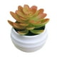 thumbnail image 2 of Planta suculenta artificial en maceta | Suculentas artificiales para la decoración del hogar y la oficina | Plantas de plástico realistas en maceta para escritorio, estante o alféizar, 2 of 6