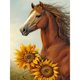 thumbnail image 1 of Pintura de diamante 5D DIY Taladro redondo completo Girasol Caballo Kit Decoración del hogar(4) Hugtrwg Para estrenar, 1 of 9