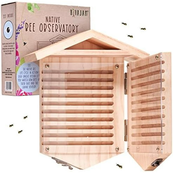 Native Bee Observatory | Mason Bee Houses for Pollinating Bees | Pollinator Bee Houses for The Garden Lover | Leaf cutter Bee Home | Unique Gardening Gifts