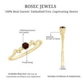 thumbnail image 6 of Rosec Jewels Minimal Promise Ring with Garnet and Diamond for Women (AAA Quality), 10K Yellow Gold, US 10.50, 6 of 7