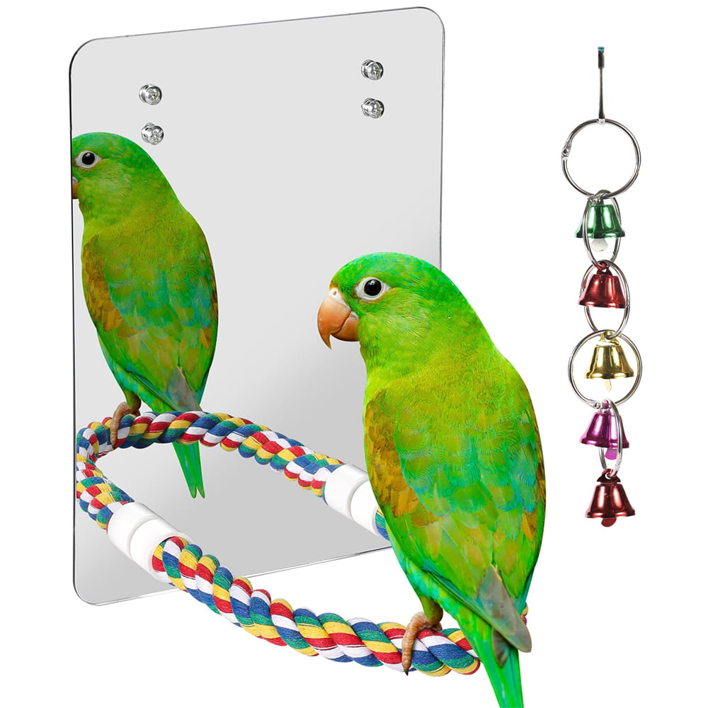 Mirror & Swing with Bells Budgie Canary Finch Plastic Traditional Bird Toy PINK 