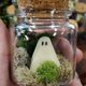 thumbnail image 4 of Mini Mascota Fantasma en Un Frasco Fantasma Mascota Fantasma en Una Botella Halloween, 4 of 9