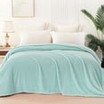 thumbnail image 3 of Whale Flotilla Twin Size Fuzzy Fleece Blanket, 60"x80" Fluffy Warm Soft Jacquard Bed Blankets for Fall Winter, Lightweight and Cozy, Light Blue, 3 of 11