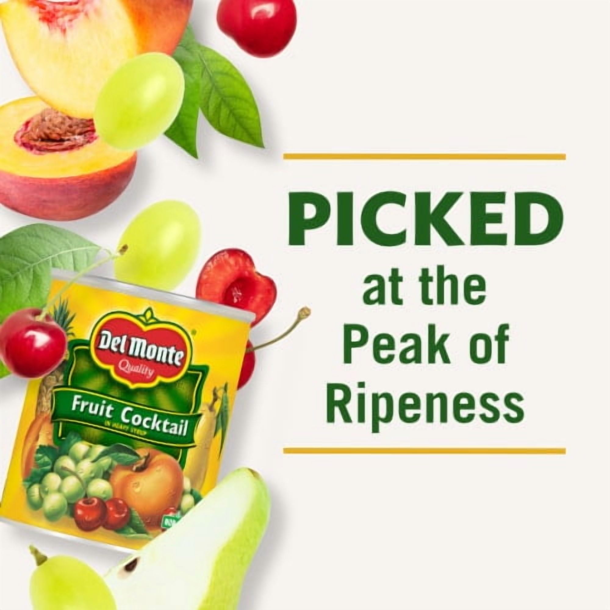 2X - Del Monte Fruit Cocktail in Heavy Syrup