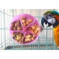 thumbnail image 4 of Pájaro Sistema de forraje creativo Rueda Semilla Bola de comida Girar Juguete de entrenamiento para loros pequeños y medianos Periquito Cacatúa Conure PÚRPURA Jormftte HMYH251-2, 4 of 4