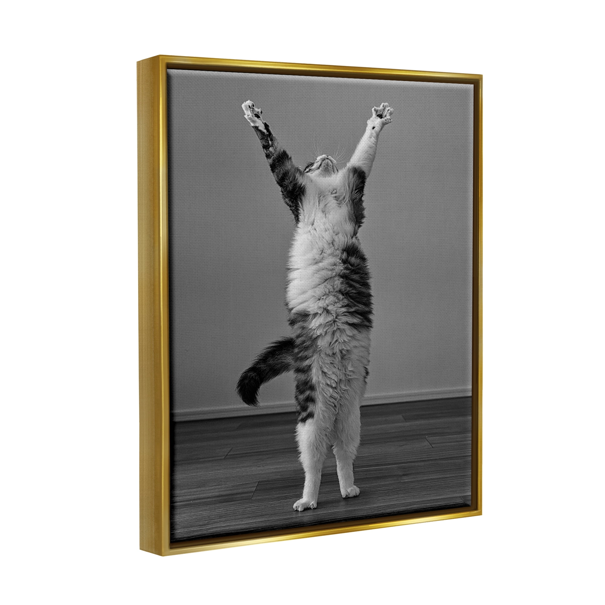 Stupell Industries Funny Cat Victory Pose Animals & Insects Photography Gold Floater Framed Canvas Art Print Wall Art, 25 x 31