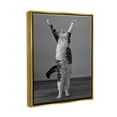 thumbnail image 4 of Stupell Industries Funny Cat Victory Pose Animals & Insects Photography Gold Floater Framed Canvas Art Print Wall Art, 25 x 31, 4 of 10