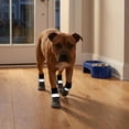 thumbnail image 4 of PAMINGONO 4Ud Botas Protectoras Para Perros En Color Con Ajuste Ajustable Y Suela Antideslizante Segura, 4 of 8
