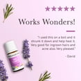 thumbnail image 4 of Pranarom - Skin Clarity Essential Oil Blend (5ml) - Lavender, Tea Tree, Thyme, Rosemary, Niaouli, Chamomile, & Helichrysum - 100% Pure Essential Oil for Skincare | USDA and ECOCERT Certified Organic, 4 of 7