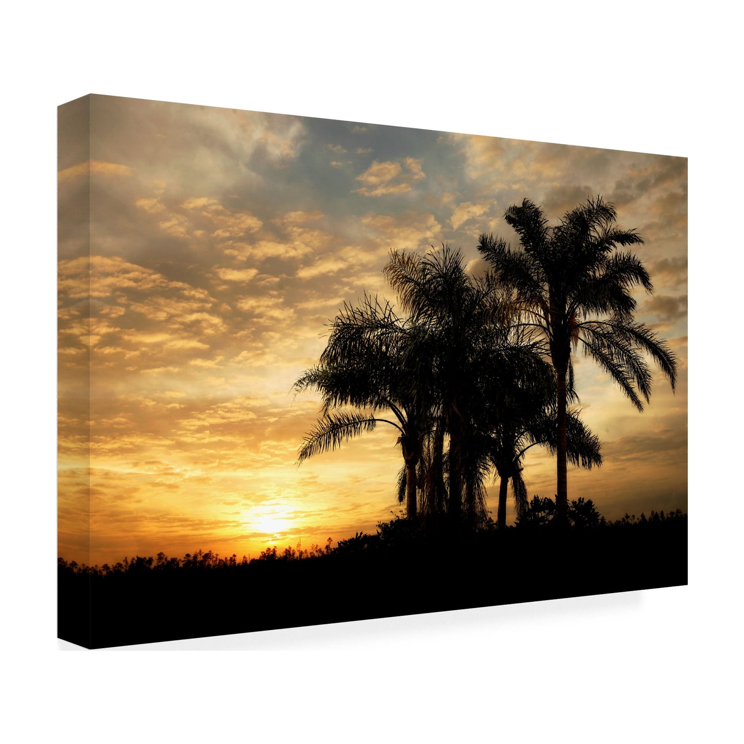 Trademark Fine Art 'Everglades Sunrise' Canvas Art by Mike Jones Photo