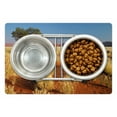 thumbnail image 1 of Landscape Pet Mat for Food and Water, Acacia Tree Desert Sossusvlei Namibia Southern Africa Photo, Non-Slip Rubber Mat for Dogs and Cats, 18" X 12", by Ambesonne, 1 of 2