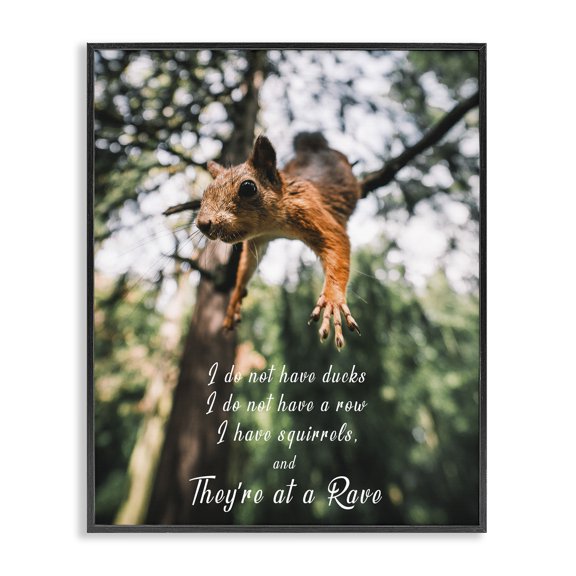 Stupell Industries Eclectic Squirrels at a Rave Funny Black Framed Giclee Art, 11 x 14, by Ziwei Li