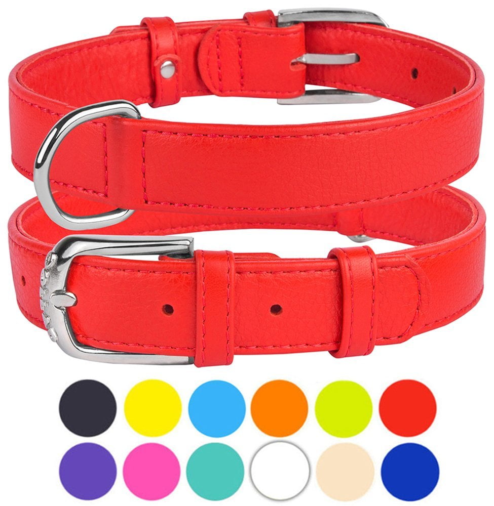 Walmart collars Clearance