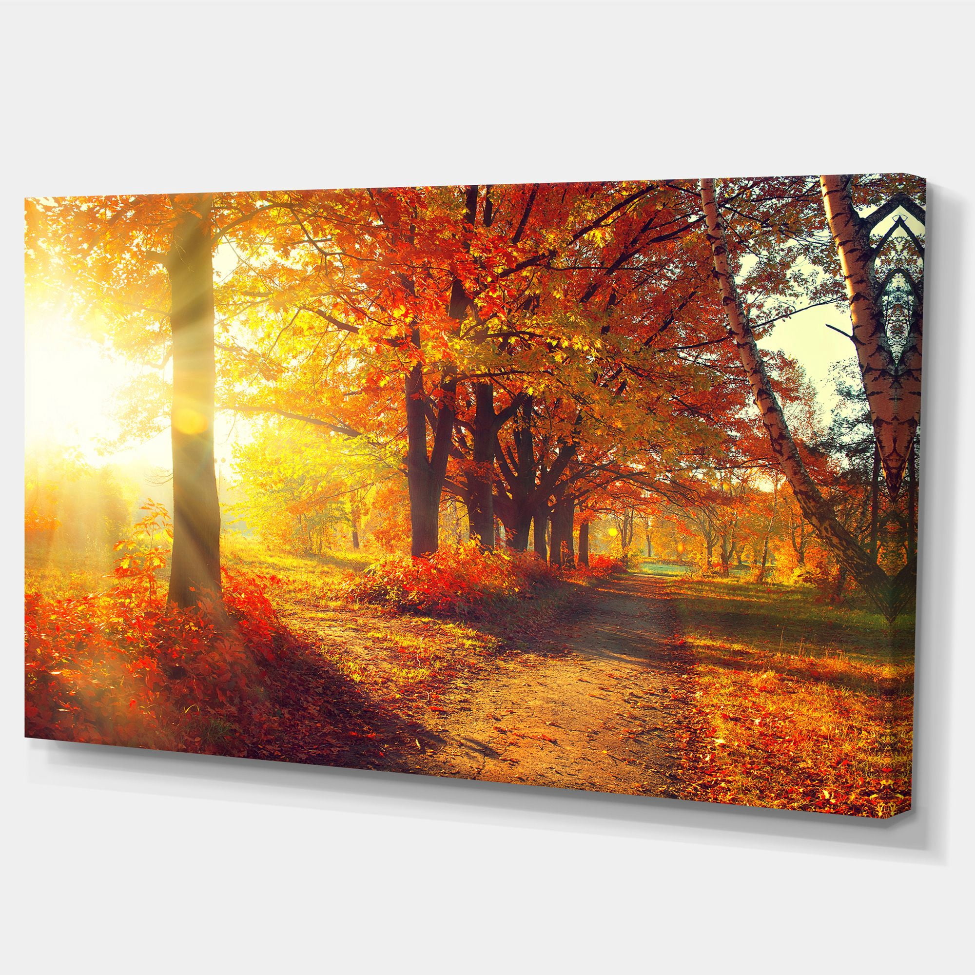 Designart 'Autumnal Trees in Sunrays ' Large Landscape Canvas Art Print