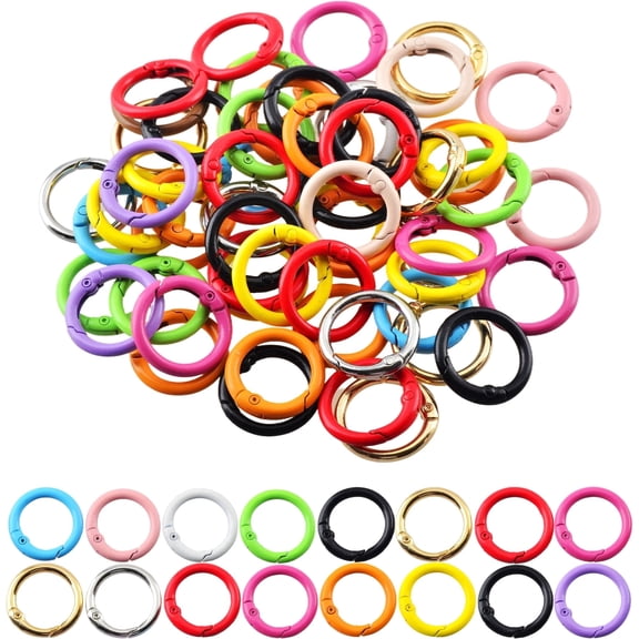 48Pcs Colored Metal Spring O Ring Carabiner Clips, Round Snap Hook Keychain Rings Bulk for DIY Keychain, Bag Charm, Purse & Dog Accessories