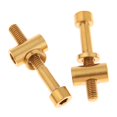 thumbnail image 1 of Tornillos fijos para bicicleta, 2 uds., titanio M5x30//35/40mm, tornillo fijo para sillín de M5x35 Sharpla Tornillo del poste del asiento del titanio, 1 of 7