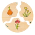 thumbnail image 4 of Beleduc Nawito Evolution Puzzles, 4 of 9