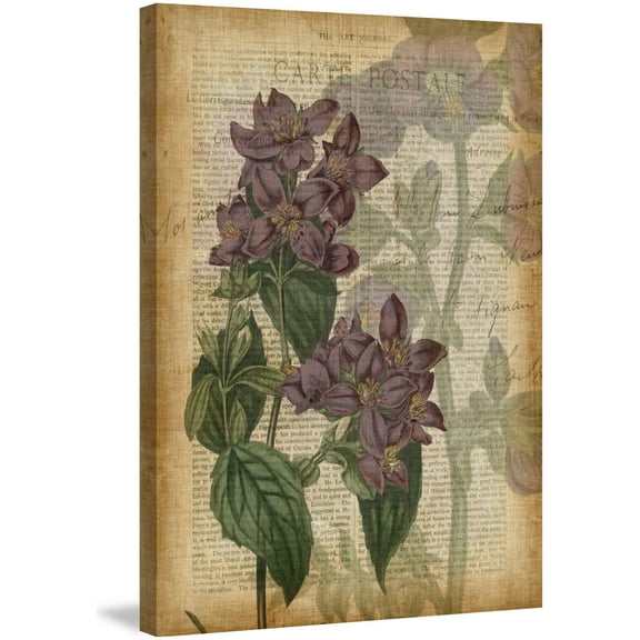 Marmont Hill "Fucshia Flowers II" Painting Print on Wrapped Canvas