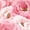 Color 4, variant on Peel and Stick Wallpaper Vibrant Tropical Monstera Palm Leaves Blush Pink Wall Mural 17.7in x 9.8ft Self Adhesive Removable Wall Paper Renter Friendly Wallpaper for Nursery Bedroom Cabinets