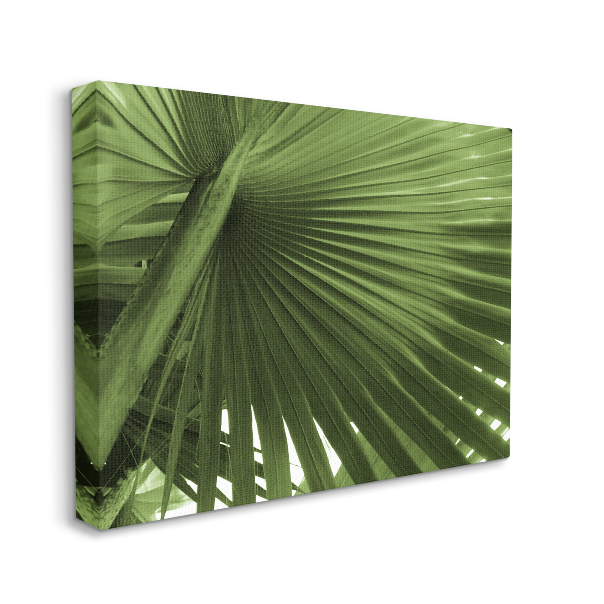 Stupell Industries Green Tropical Leaf Botanical & Floral Photography Gallery Wrapped Canvas Print Wall Art, 20 x 16