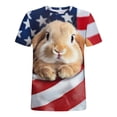 thumbnail image 4 of HONHUZH Mens Plus Size Summer Tops Retro 250Th Anniversary of The United States Print Shirt Patriotic Flag USA Tshirt, 4 of 5