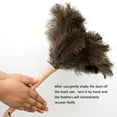 thumbnail image 4 of 2PCS Ostrich Feather Duster 16 Inch Fluffy Natural with Wood Handle Reusable Washable for Cleaning Keyboard,Home,Car,Office Ostrich Feather Duster, 4 of 7