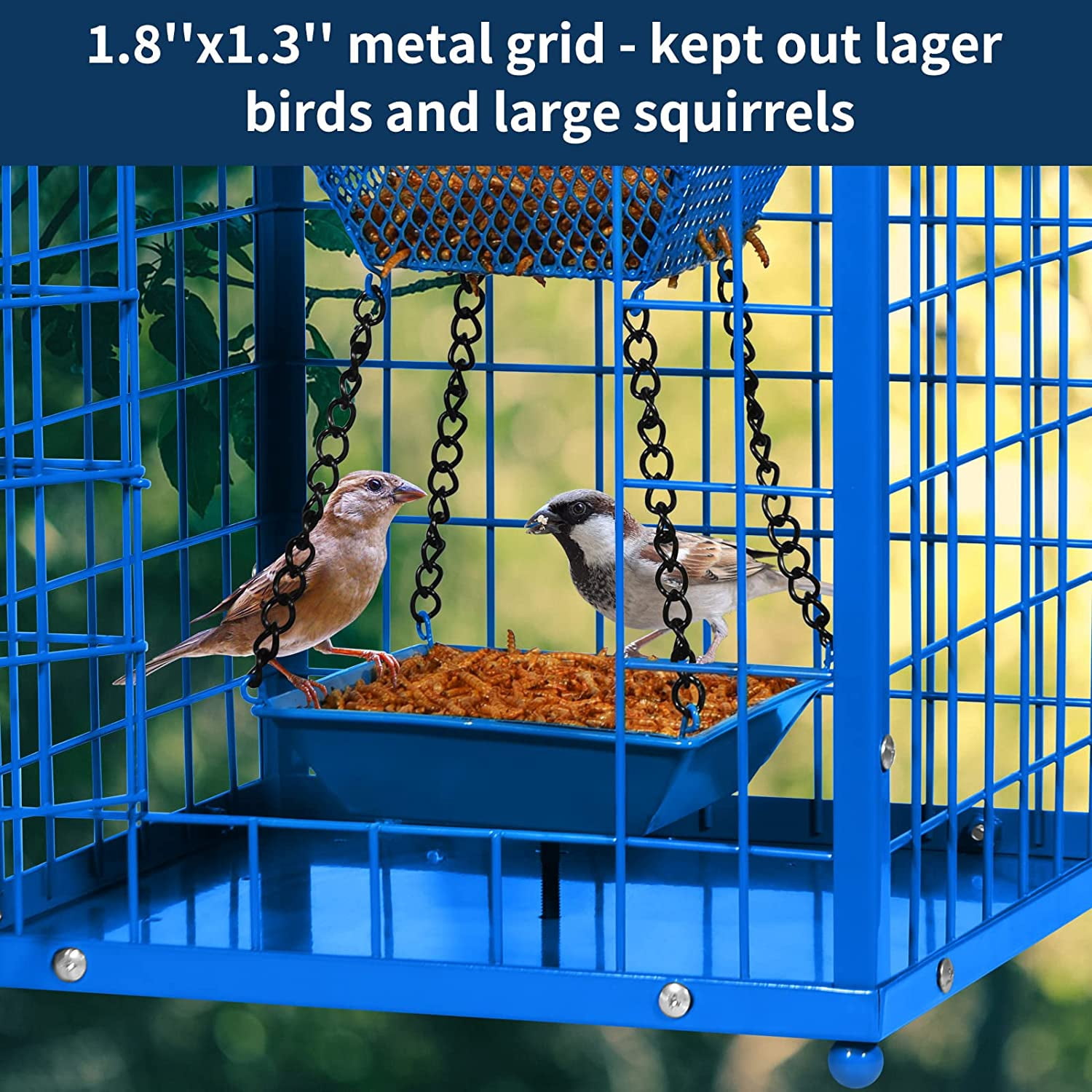 Bird Feeders for Bluebirds - Metal - Huge Caged Squirrel-proof Bird Feeders with 2 Cups, DIY Wild Bird Feeders Outdoor Hanging (Blue), Attract Small Birds, 2lbs Seed Capacity+1 Cup