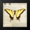 thumbnail image 2 of Melious, Amy 15x15 Black Modern Framed Museum Art Print Titled - Butterflies Script V, 2 of 5