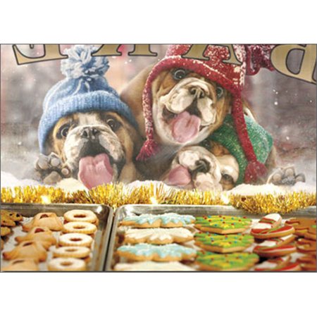Avanti Press - Avanti Press 3 Christmas Dogs At Bakery Window Box of 10 Funny / Humorous Bulldog Christmas Cards