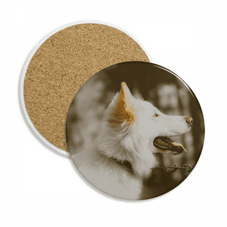

White Dog Pet Animal Photo Coaster Cup Mug Tabletop Protection Absorbent Stone