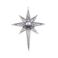thumbnail image 1 of Broche de Estrella Zulema de Cristal de Imitación Pin broche, 1 of 7