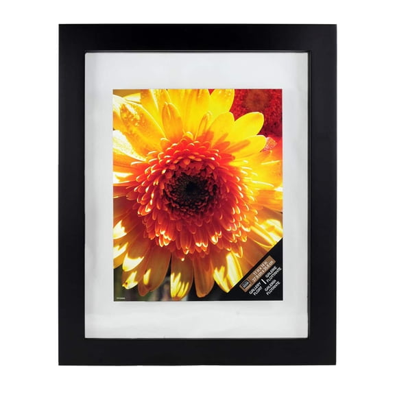 Studio Decor Gallery 11" x 14" Black Float Frame