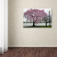 thumbnail image 4 of Trademark Fine Art "Cherry Tree" Canvas Art by CATeyes, 4 of 4