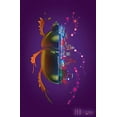thumbnail image 1 of Zed, un Roman, 1 of 1