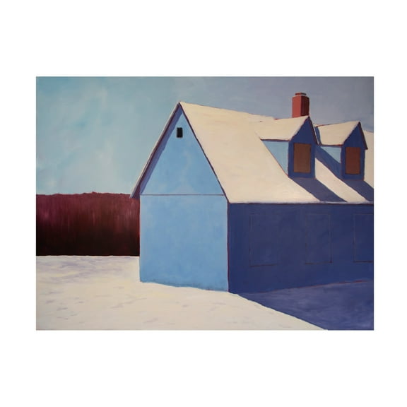 Trademark Fine Art Carol Young Artic Angel Canvas Wall Art