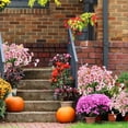 thumbnail image 4 of Flores artificiales ColoPlay Peach, 24 paquetes para interiores y exteriores, 4 of 7