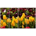 thumbnail image 2 of Beautiful Yellow Tulips Garden - Large Flower Canvas Art Print, 2 of 3