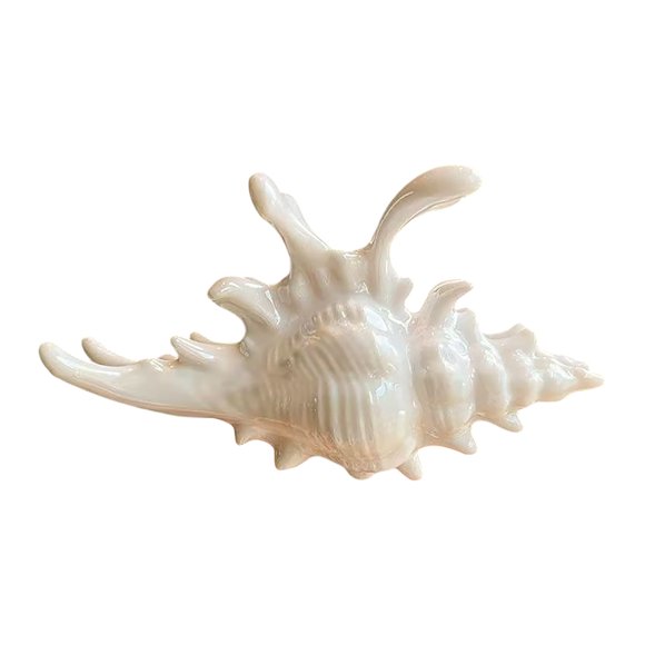 Pinzas para el pelo con forma de caracola. Pinzas grandes de 12,7 cm para cabello grueso. Accesorios de playa de verano para mujer. Elegante joyería para ella