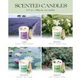 thumbnail image 4 of Set de 4 velas aromáticas Calm AOOVOO, 28 oz, 4 of 8