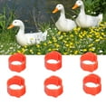 thumbnail image 3 of Poultry Leg Bands, Adjustable Reusable Poultry Foot Rings 100PCS/Bag Clip-On  for Farm for Livestock Farm, 3 of 7