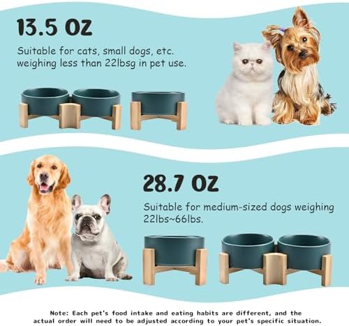 15° Slanted Ceramic Dog and Cat Bowl with Wooden Stand, Tilted Bulldog Food and Water Bowl No Slip Non-Spill for Cats Medium Dogs Big Face Pets 13.5 OZ (1.7 Cups, Green × 2)