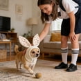 thumbnail image 3 of Easter Cute Bunny Ear Knit Pet Hat for Cats and Dogs - Winter Warm Headwear in Black, Adorable Rabbits Ear Decorative Accessory for Small to Medium Pets White Size:M, 3 of 4