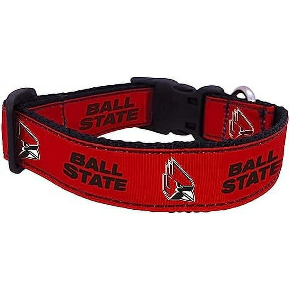 College Dog Collar (Medium, Ball State)