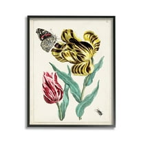 Stupell Industries Vintage Nature & Bugs Botanical & Floral Painting Black Framed Art Print Wall Art, 11 x 14