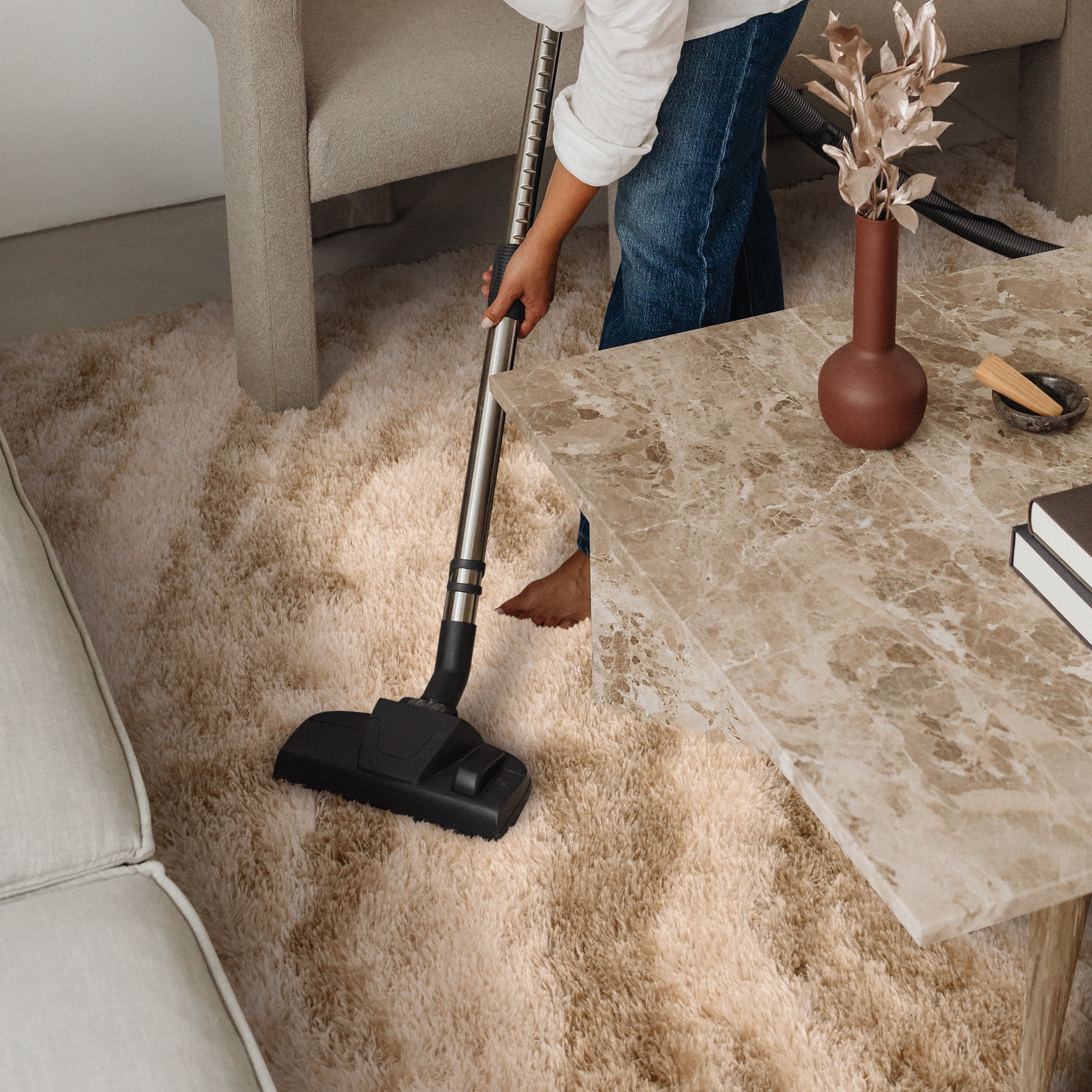 Cydiria Modern Warm Beige Plush Area Rug Scandinavian Shaggy Carpet for Living Room, 4' x 6'