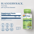 thumbnail image 2 of SOLARAY Bladderwrack Capsules 580 mg - Nutrient-Packed Seaweed Supplement, High in Iodine - Balanced Herbal Support - Vegan, Non-GMO, 60-Day Guarantee, Lab Verified - 100 Servings, 100 VegCaps, 2 of 6