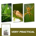 thumbnail image 4 of KAKOWELY spider cage 1 Set Of Jumping Spider Feeding Box Spider Cage Plastic Spider Pet Box Pet Breeding Box Spider Pet Box Transparent Reptile Breeding Box, 4 of 5