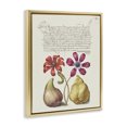 thumbnail image 3 of Stupell Industries Transitional Vintage Nature Page Gold Floating Frame Canvas Art, 17 x 21, by Grace Popp, 3 of 8